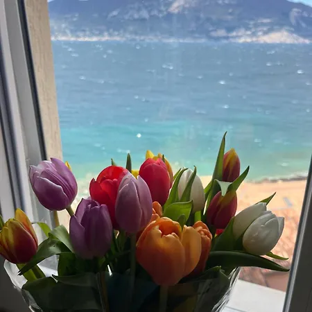 Il Balcone Sul Garda Chic 130 Mq *